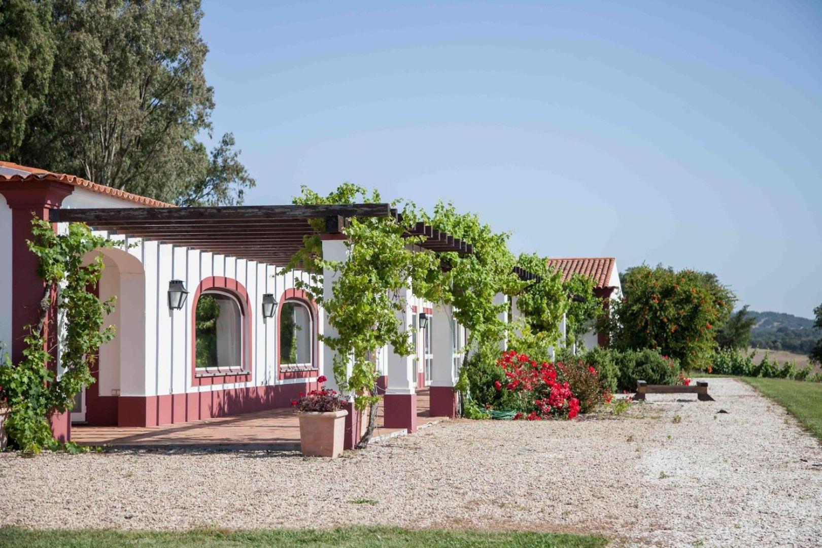 Stunning Mansion In Sao Cristovao Villa มอนเตมอโรโนโว ภายนอก รูปภาพ